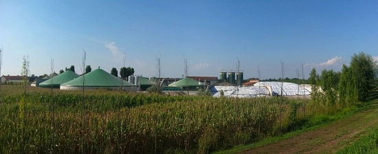 biogas domestico